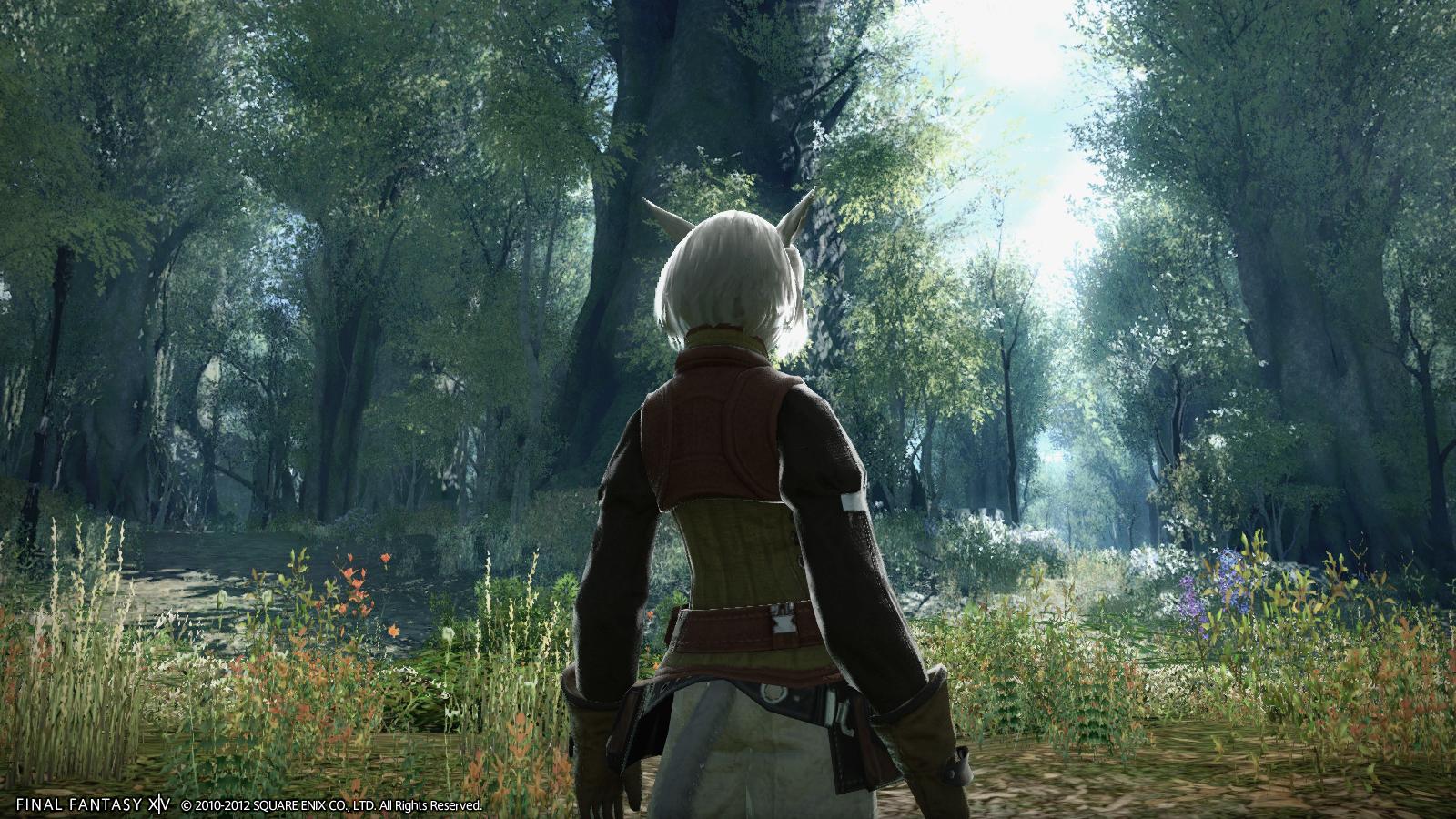 Final Fantasy XIV: A Realm Reborn - Imagen 33